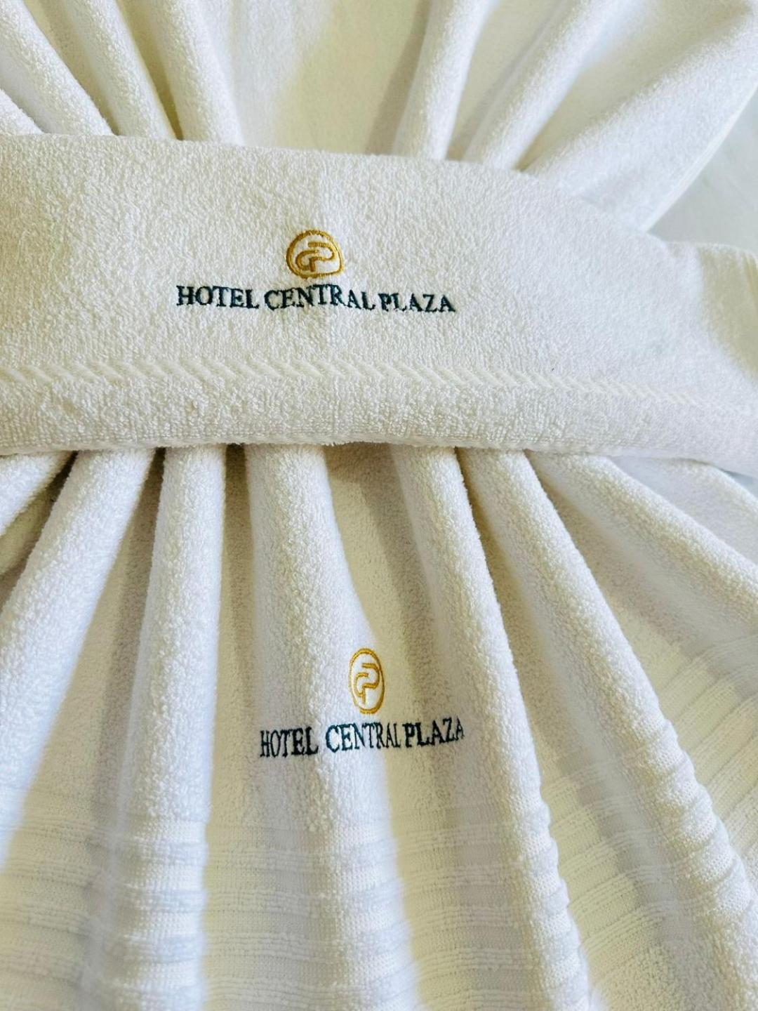 Hotel Central Plaza Timoteo Экстерьер фото